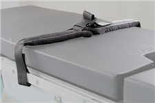바디 벨트 (버클형) (Body belt (Buckle type))